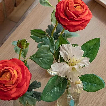 Magnolia Costa Dei Trabocchi Летний дом