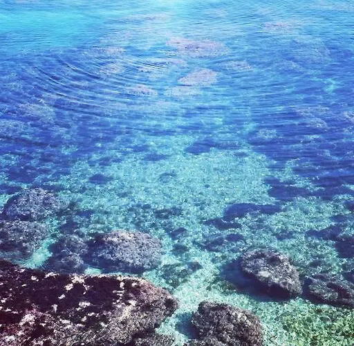 Magnolia Costa Dei Trabocchi Kır Evi *