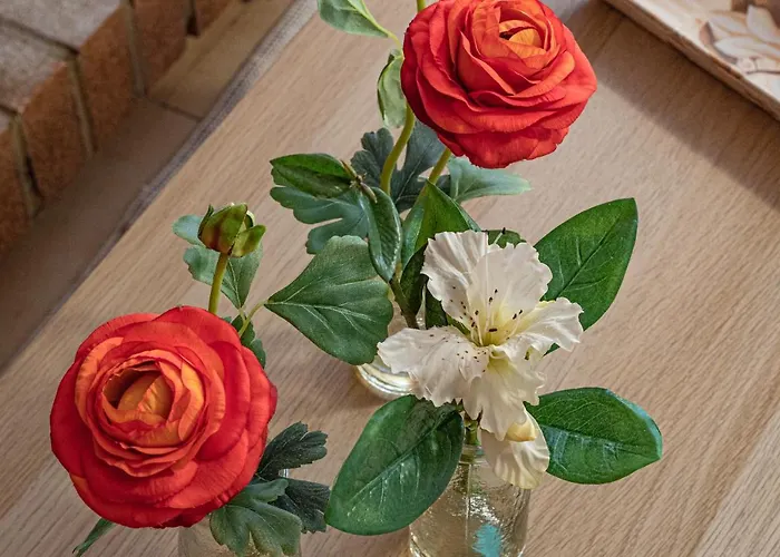 Magnolia Costa Dei Trabocchi Kır Evi