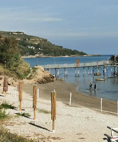 Magnolia Costa Dei Trabocchi *