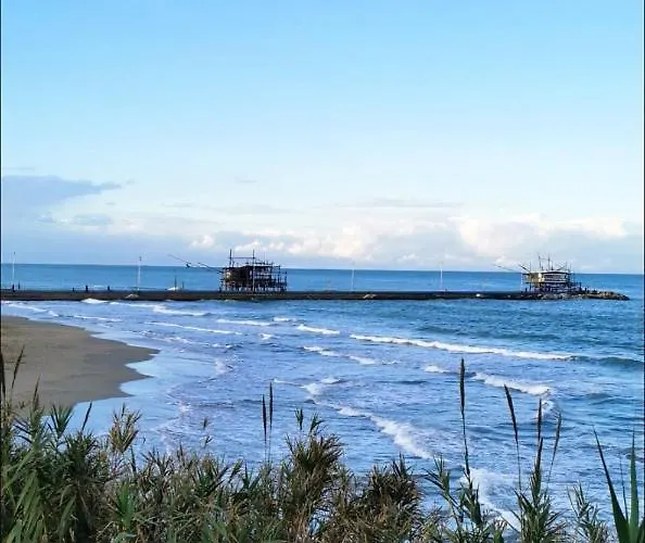 Magnolia Costa Dei Trabocchi Rocca San Giovanni