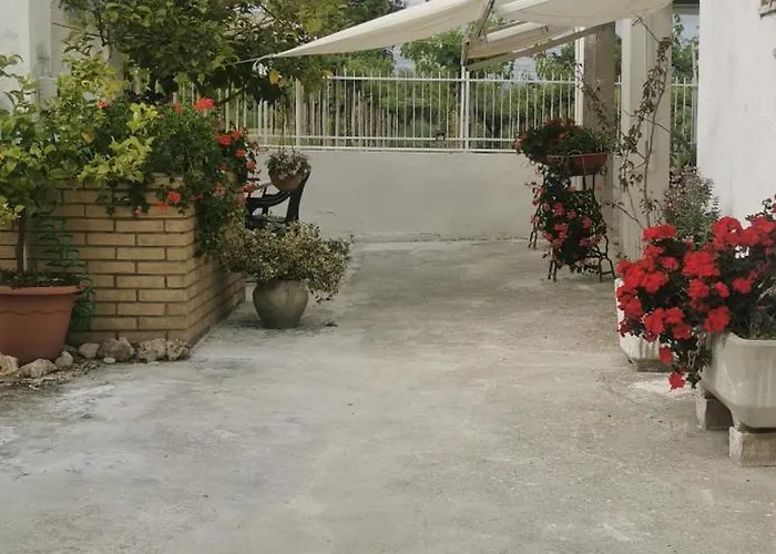 Magnolia Costa Dei Trabocchi